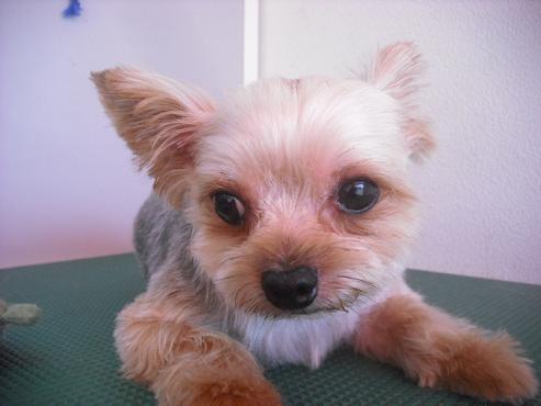 ファイル 1600-1.jpg