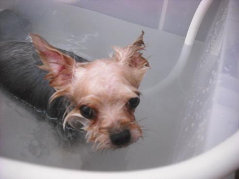 ファイル 1600-2.jpg