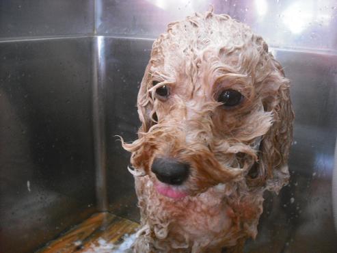 ファイル 1602-2.jpg