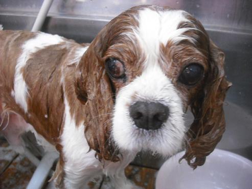 ファイル 1603-2.jpg