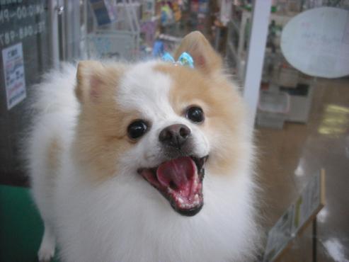 ファイル 1605-1.jpg