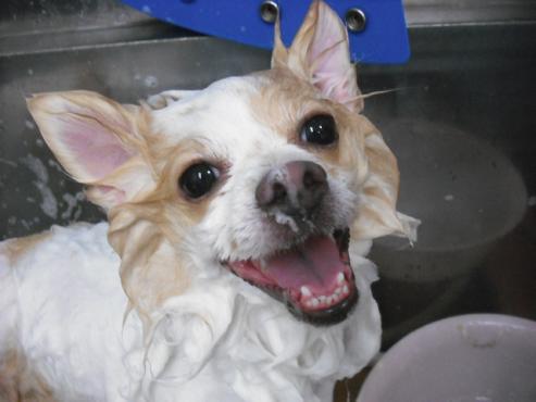 ファイル 1605-2.jpg