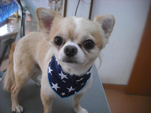 ファイル 1608-1.jpg