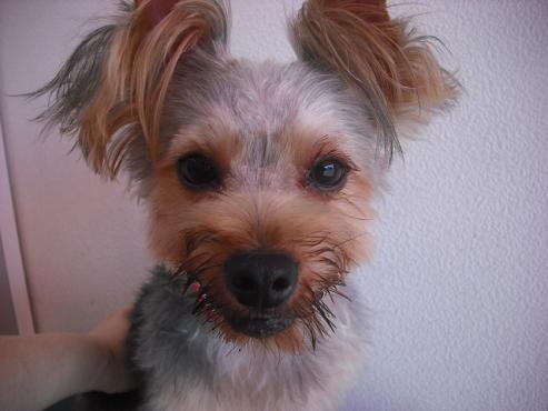 ファイル 1609-2.jpg