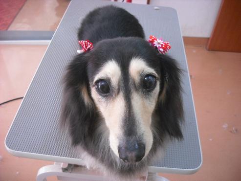 ファイル 161-1.jpg