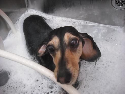 ファイル 161-3.jpg