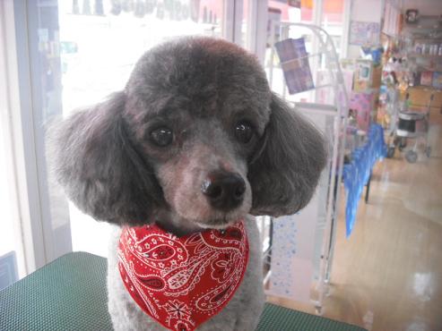 ファイル 1612-1.jpg