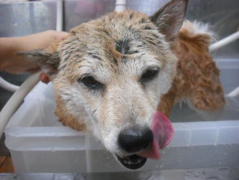 ファイル 1614-2.jpg