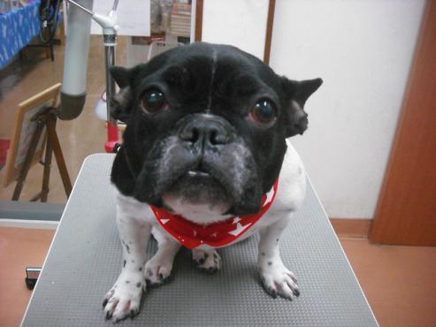 ファイル 1615-1.jpg