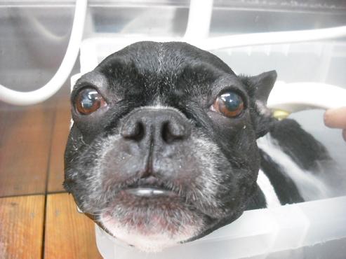 ファイル 1615-2.jpg