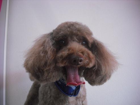 ファイル 1616-1.jpg