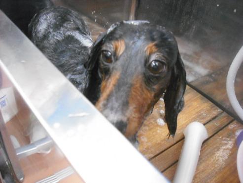 ファイル 1619-2.jpg