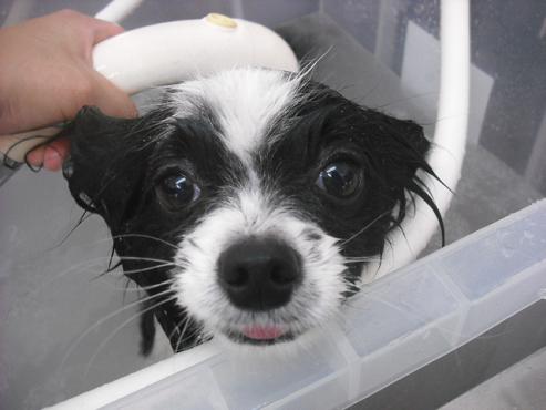 ファイル 162-2.jpg