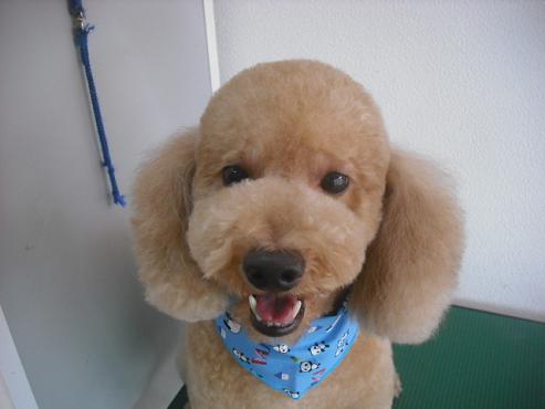 ファイル 1624-1.jpg