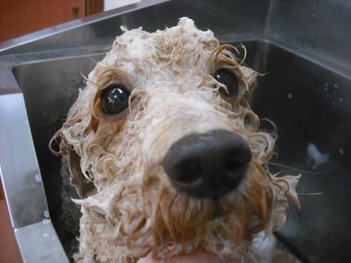 ファイル 1624-2.jpg