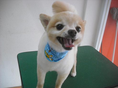 ファイル 1629-2.jpg