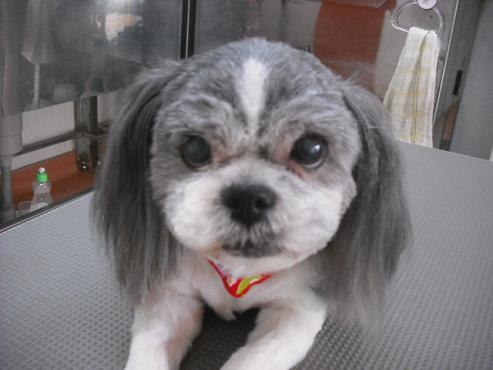 ファイル 163-1.jpg