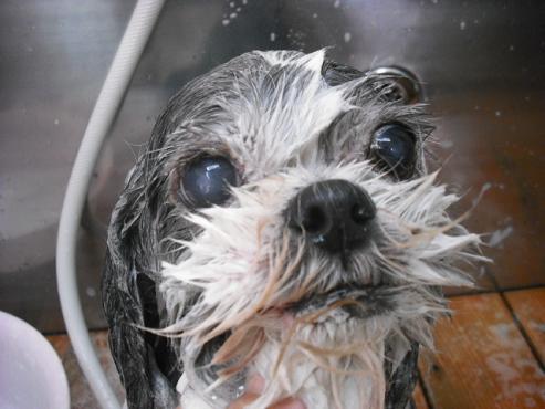 ファイル 163-2.jpg