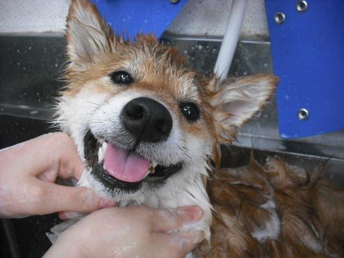 ファイル 1630-2.jpg