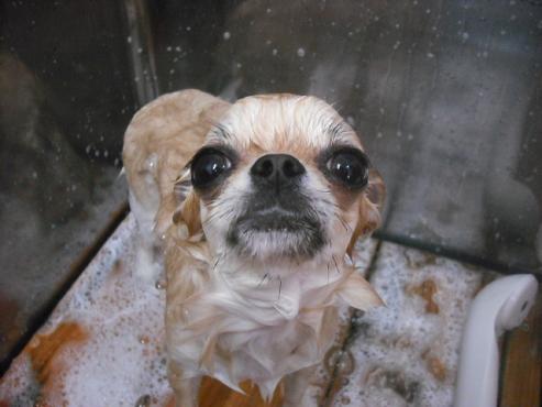 ファイル 1633-2.jpg