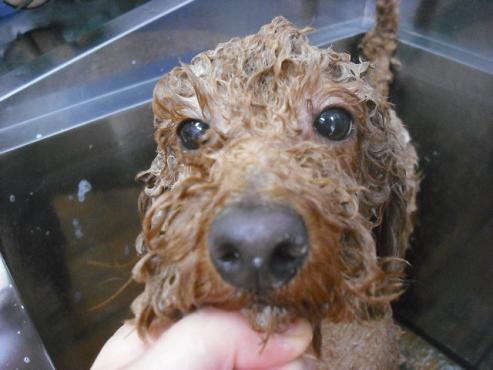 ファイル 1634-2.jpg