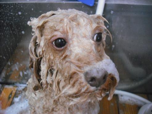 ファイル 1635-2.jpg