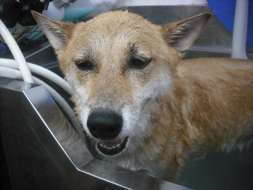 ファイル 1637-2.jpg