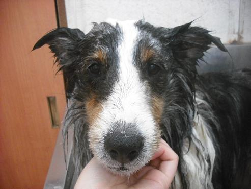 ファイル 1638-2.jpg