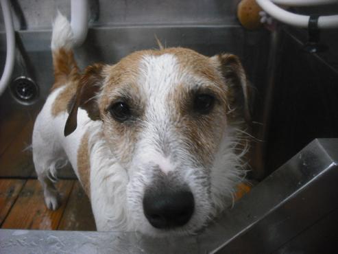 ファイル 1639-2.jpg