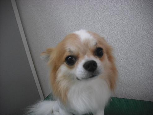 ファイル 164-1.jpg