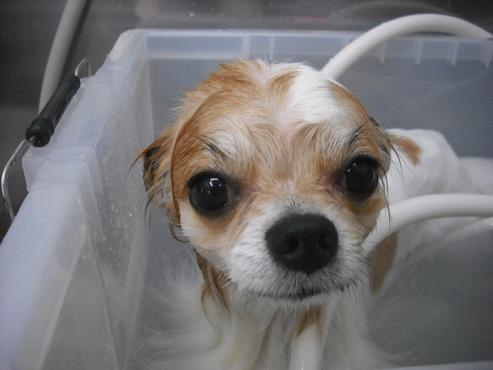 ファイル 164-3.jpg