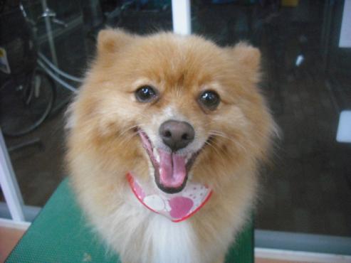 ファイル 1640-1.jpg