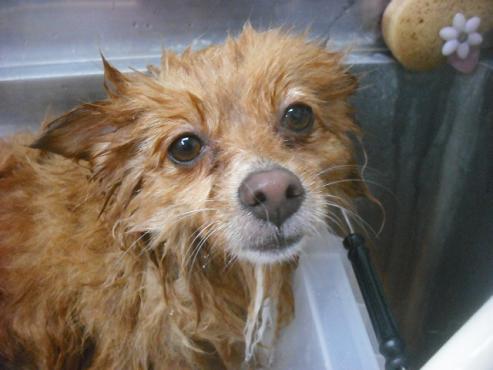 ファイル 1640-2.jpg