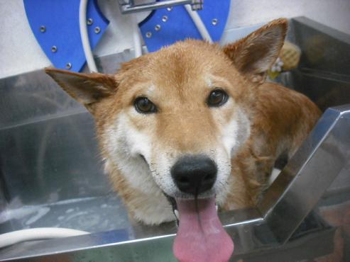 ファイル 1643-3.jpg