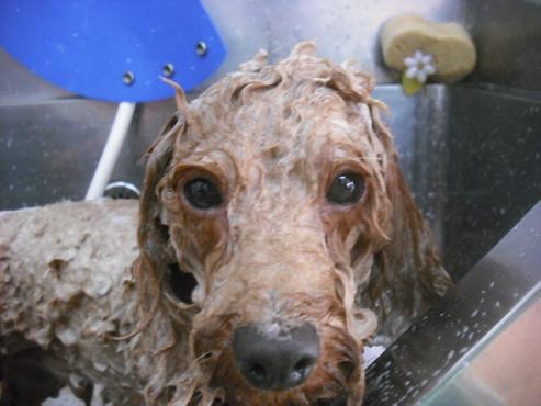 ファイル 1644-3.jpg