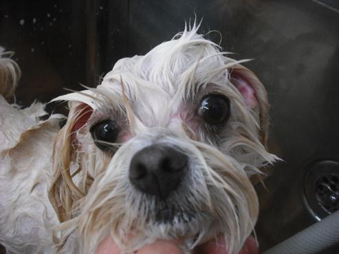 ファイル 1645-2.jpg