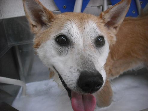 ファイル 1646-2.jpg