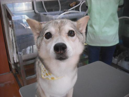 ファイル 1647-1.jpg