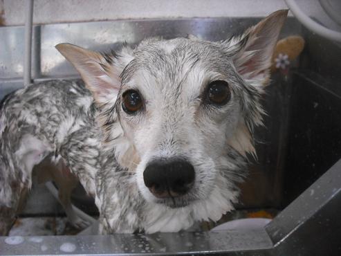 ファイル 1647-2.jpg