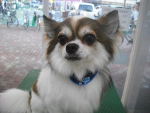 ファイル 1648-1.jpg