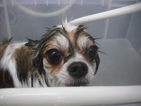 ファイル 1648-3.jpg