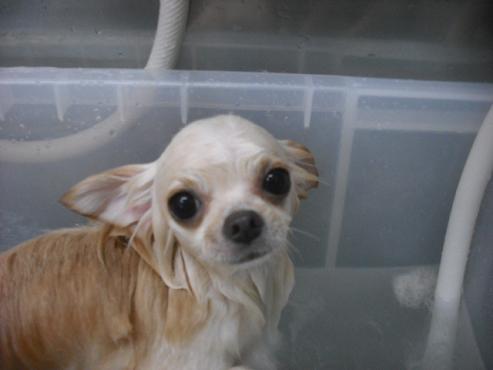 ファイル 1649-2.jpg