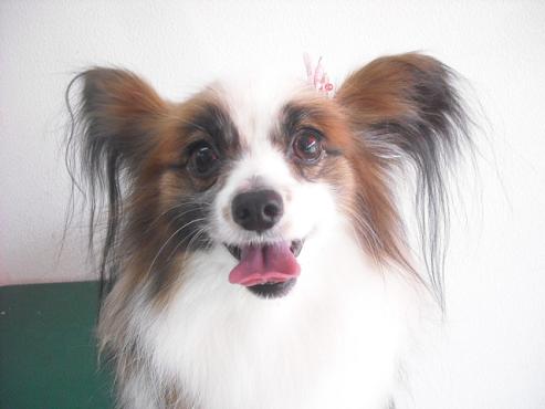 ファイル 165-2.jpg