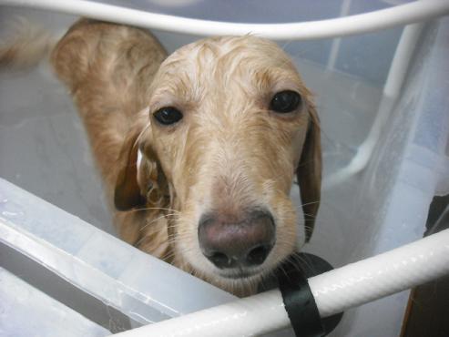 ファイル 1650-3.jpg