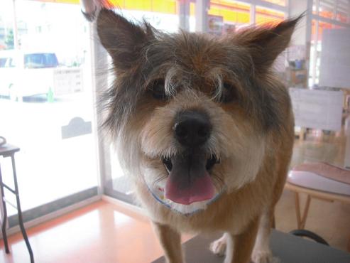 ファイル 1651-1.jpg