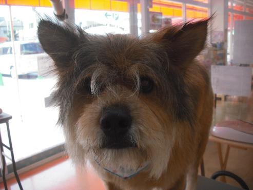 ファイル 1651-3.jpg