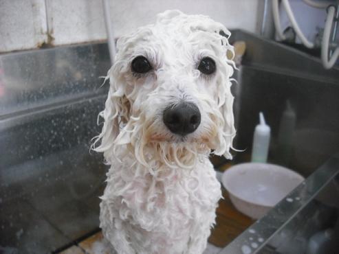 ファイル 1652-3.jpg