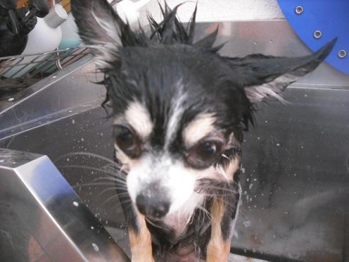 ファイル 1654-2.jpg