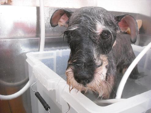 ファイル 1655-3.jpg