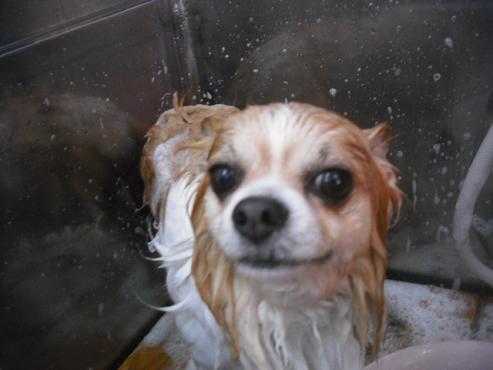 ファイル 1658-2.jpg